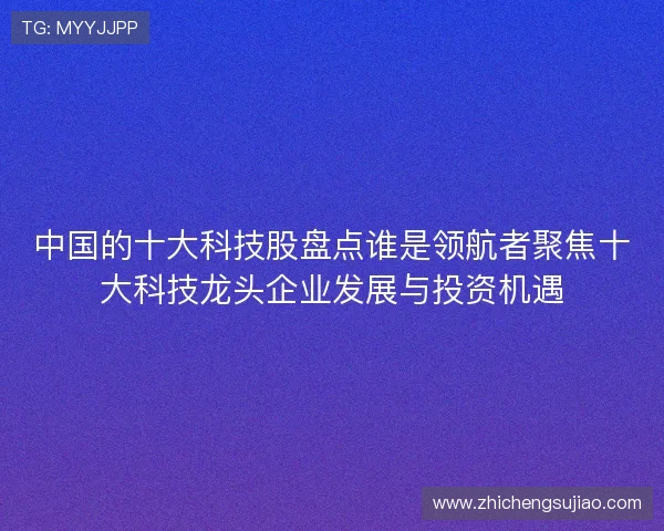 中国的十大科技股盘点谁是领航者聚焦十大科技龙头企业发展与投资机遇
